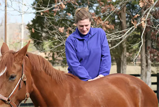 Full Circle Veterinary Services 1