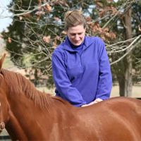 Full Circle Veterinary Services ico