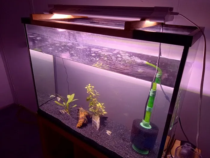 South Seas Aquatics Inc. 3