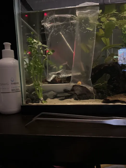 Elegant Reef - Tropical Fish Studio 12