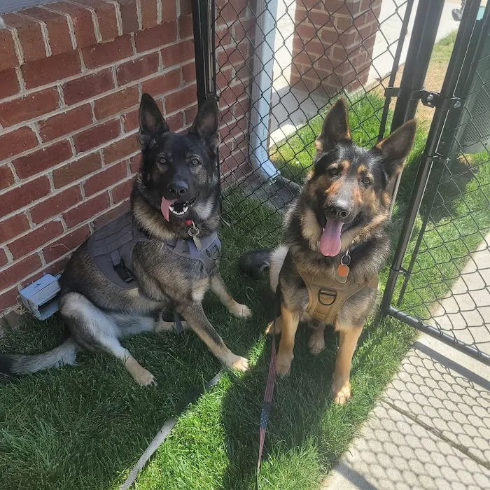 Mechanicsville Animal Hospital 6