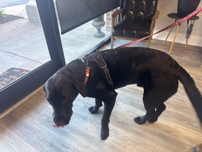 BetterPet Veterinary Urgent Care 1