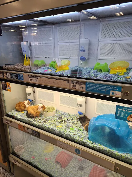 Petco 12
