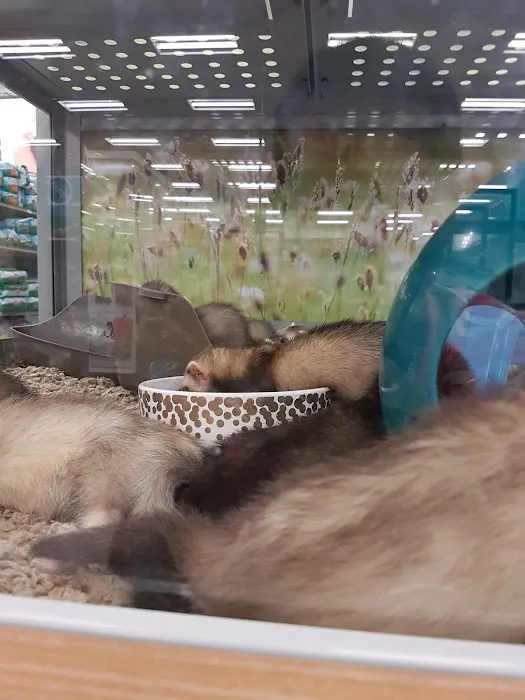 Petco 12