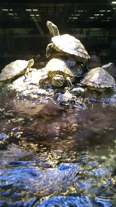 Petco 12