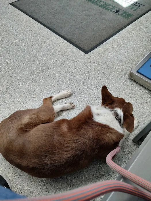Hanover Green Veterinary Clinic 8