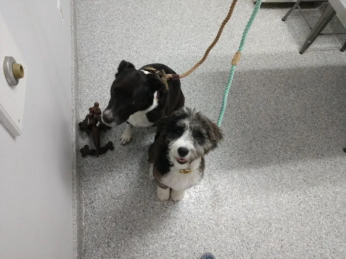 Hanover Green Veterinary Clinic 9
