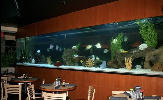 Aquatic Interiors Unlimited 12