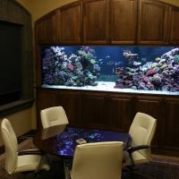 Aquatic Interiors Unlimited ico