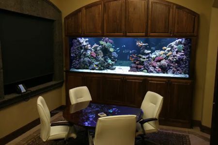 Aquatic Interiors Unlimited