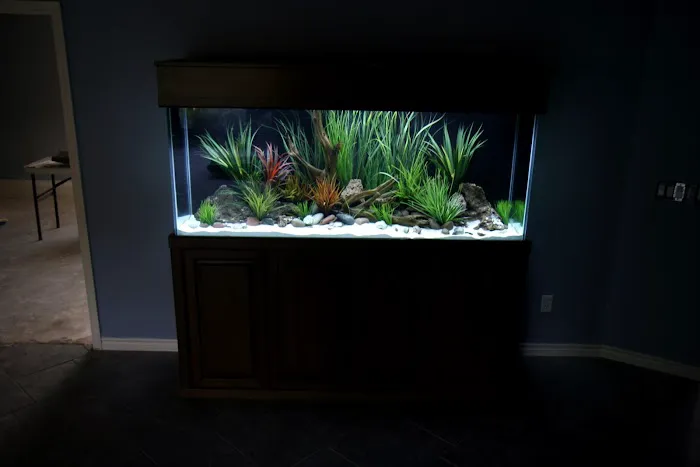 Aquatic Interiors Unlimited 12