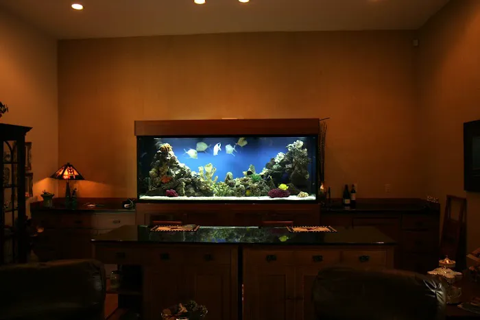 Aquatic Interiors Unlimited 12
