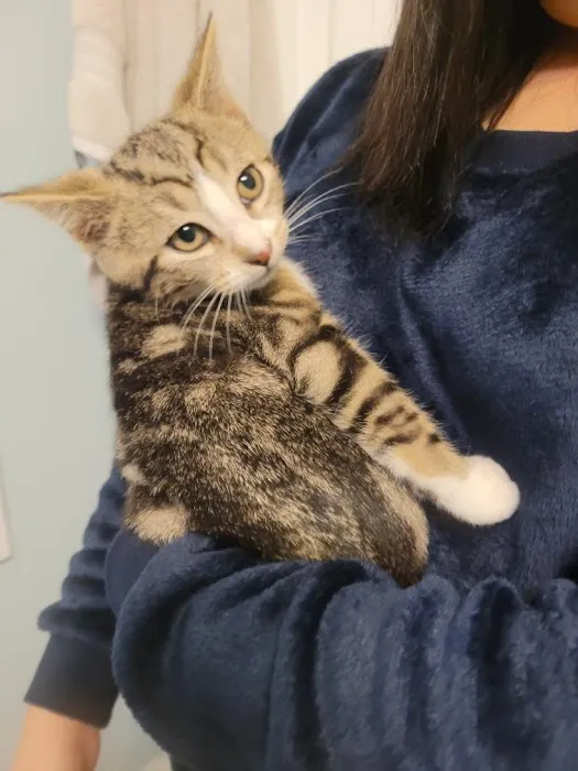 Smoky's Spay & Neuter Clinic 1