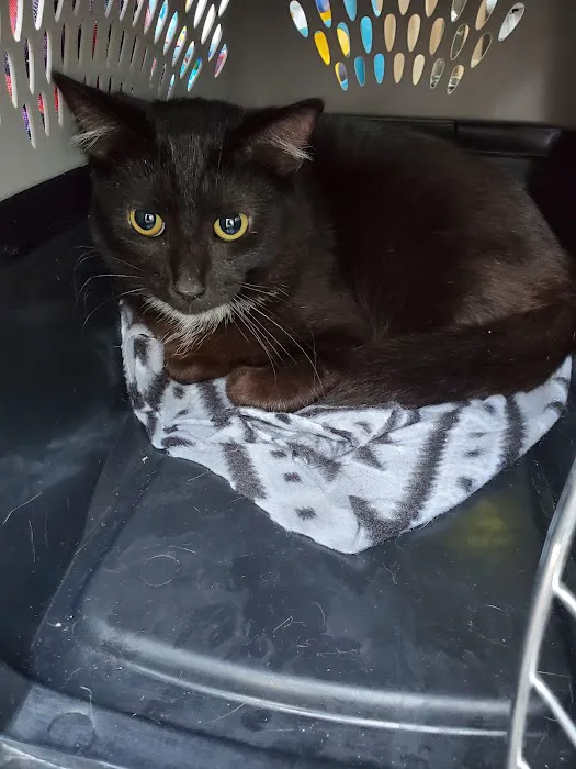 Smoky's Spay & Neuter Clinic 4
