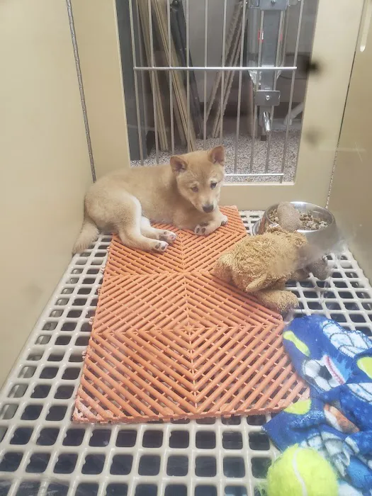 Petland Shavano Park 6