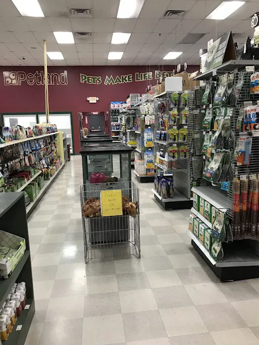 Petland Shavano Park 3