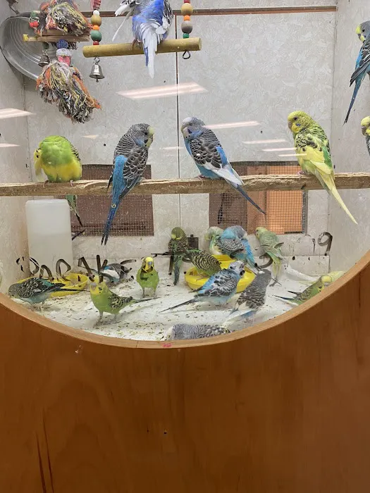 Forever Pets Inc 12