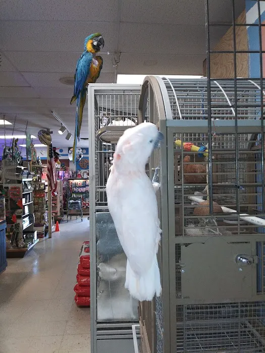 Forever Pets Inc 12