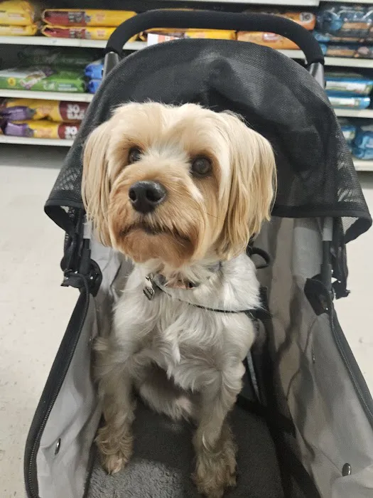 Banfield Pet Hospital 8