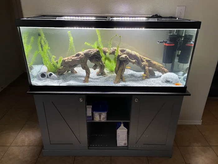Fintique Tropical Fish Pet Store 12