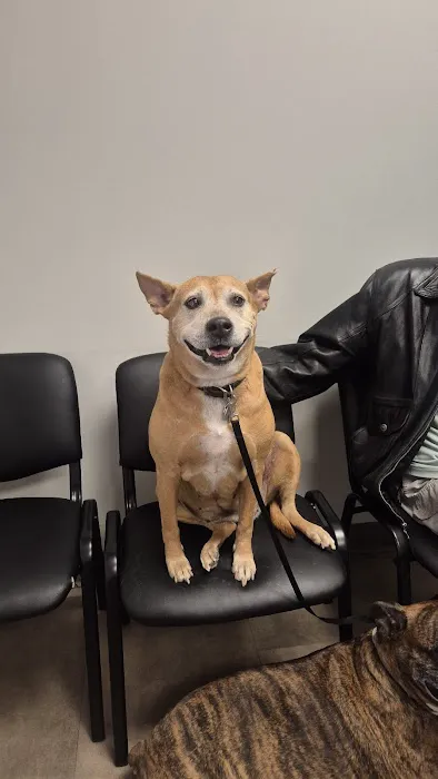 Keowee Animal Hospital 5