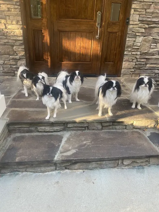 Keowee Animal Hospital 4