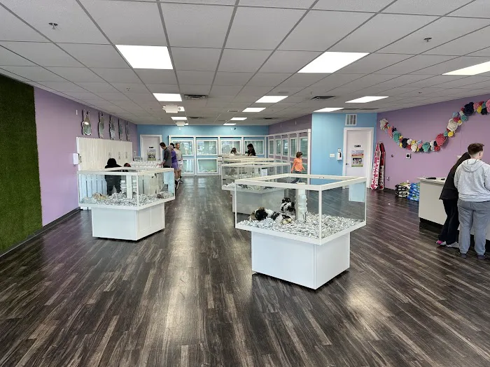 Puppyland San Antonio 3