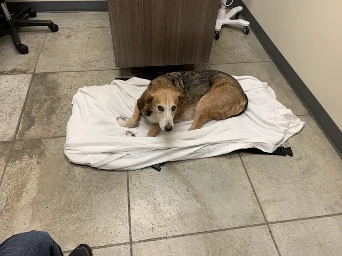Riversong Veterinary Clinic 3