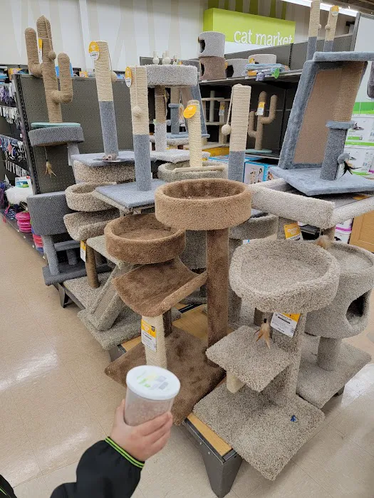 Petco 8