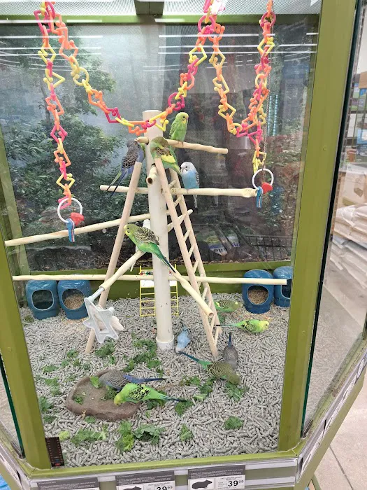 Petco 9