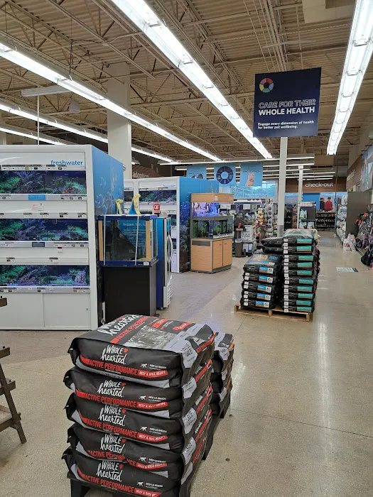 Petco 10