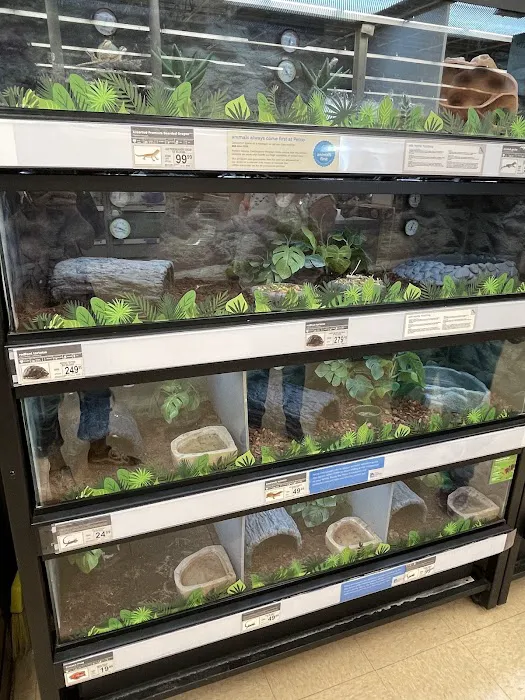 Petco 4