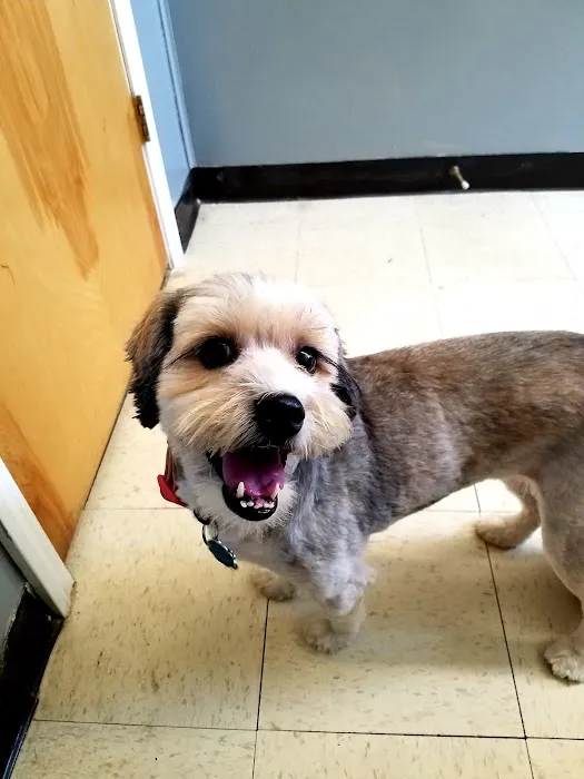 Canton Animal Hospital PA 9