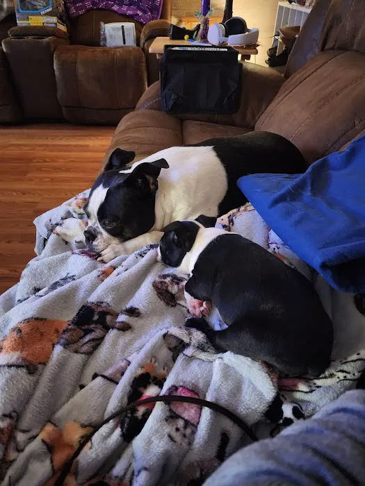 Canton Animal Hospital PA 8
