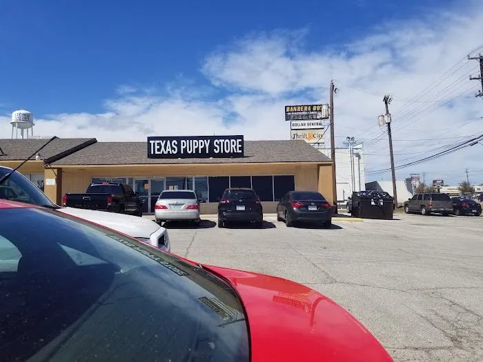 texas puppy store 3