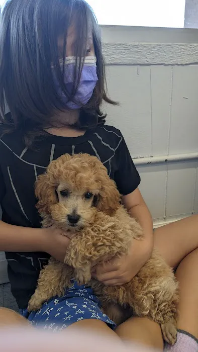 texas puppy store 9