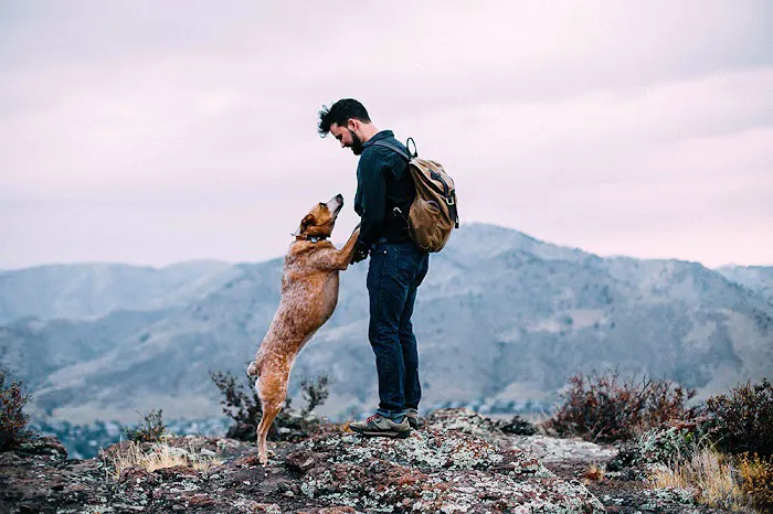 Mountain Top Canine Rehab 2