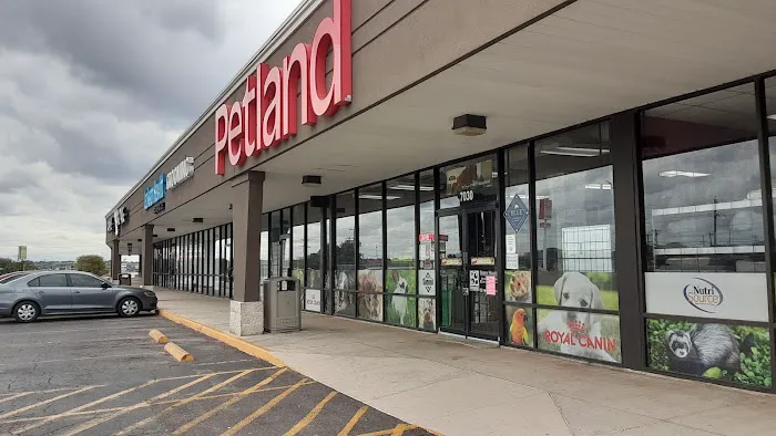 Petland Leon Valley 10
