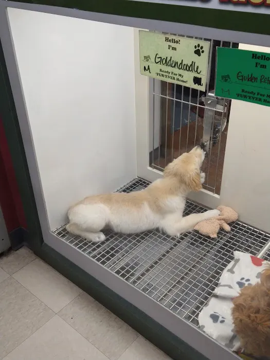 Petland Leon Valley 3