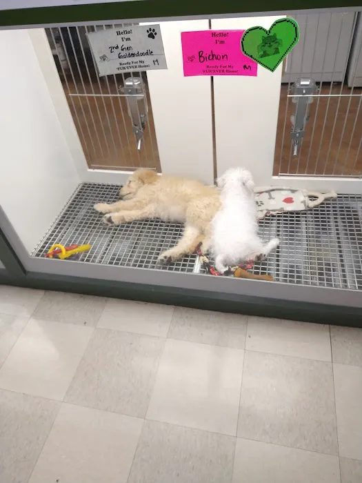 Petland Leon Valley 2