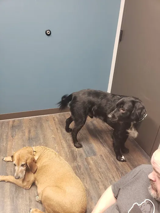 Saving Grace Animal Hospital 5