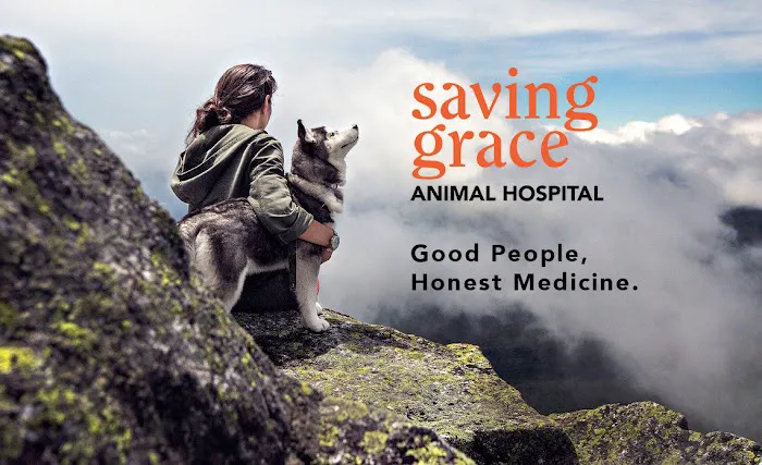 Saving Grace Animal Hospital 3