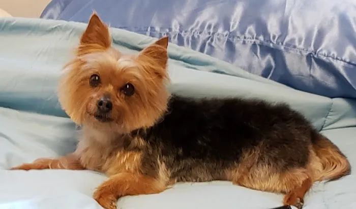 Saving Grace Animal Hospital 6
