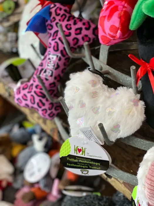 Mike's Dog Store 12