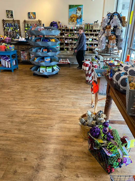 Mike's Dog Store 12