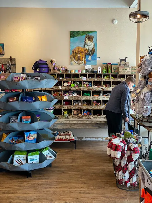 Mike's Dog Store 12