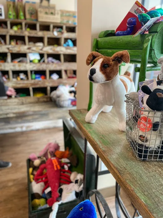 Mike's Dog Store 12