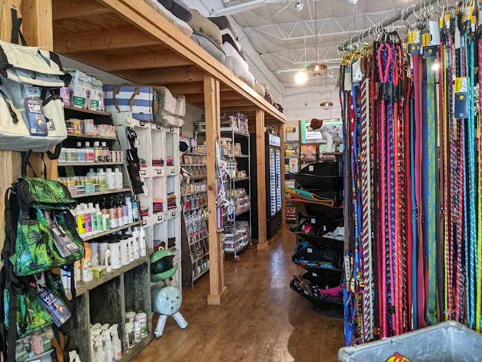 Mike's Dog Store 12