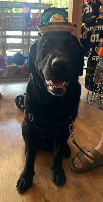 Mike's Dog Store 12