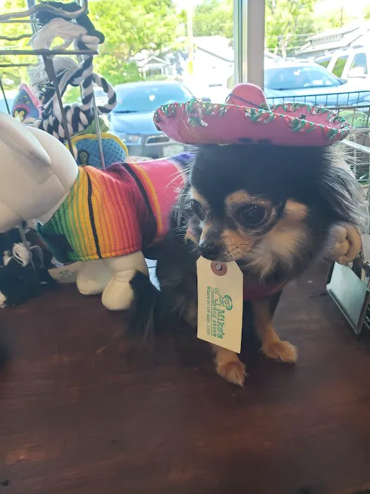 Mike's Dog Store 12